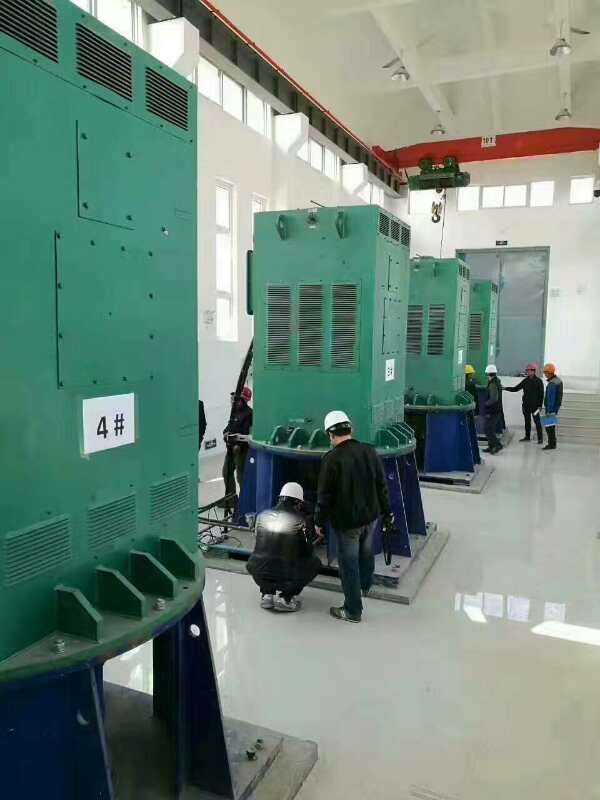 闽清某污水处理厂使用我厂的立式高压电机安装现场